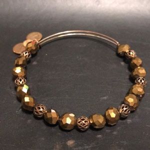 🚨PRICE DROP🚨 Alex and Ani Bangle GOLD💛